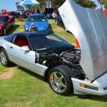 PlasticFantastic_0065 (May 17, 2015)